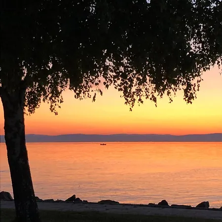 Amp - Siófok