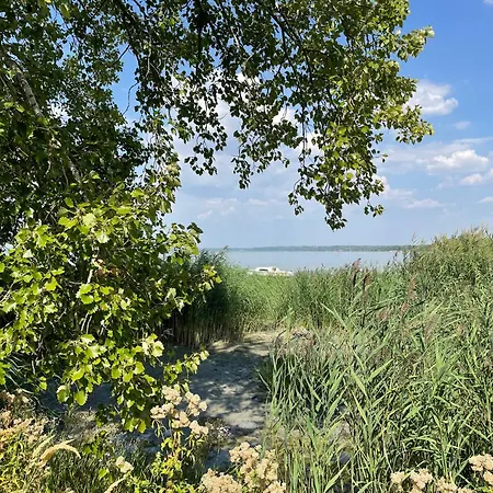Amp - * Siófok