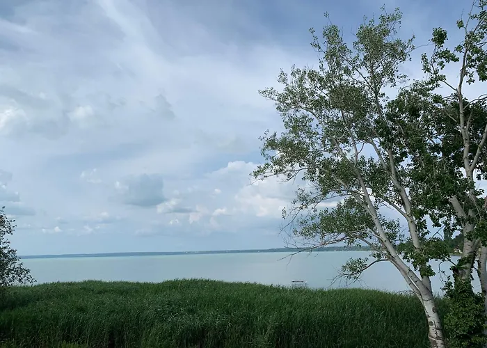 Amp - * Siófok