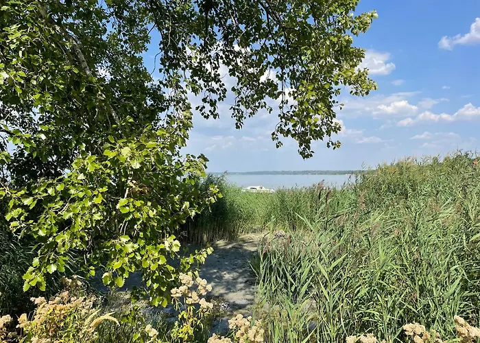 Amp - * Siófok